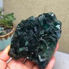 345g NATURAL Green Cubic FLUORITE Crystal Cluster Mineral Specimen A4719 picture