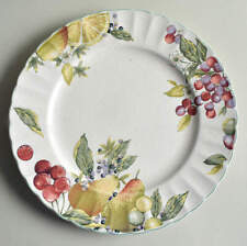 Mikasa Nature's Image Dinner Plate 892894 picture