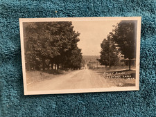 RPPC Central Lake Michigan Street Scene Homes Both Sides Dirt Road c1910 picture