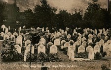 London England Dogs Cemetery Hyde Park Vintage Real Photo Postcard RPPC picture