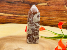 Red Fossil Tower, Red Horn Fossil Crystal Point, Fossilized Obelisk, Fossils, 4