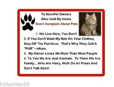 Funny Maine Coon Cat Rules Refrigerator Magnet  picture