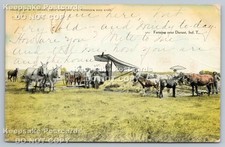 Antique Postcard Farming near Durant Ind T Indian Territory OK Oklahoma PM 1908 picture