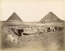 Pyramids of Giza Vintage Egypt Camels Photo Reprint Wall Art picture
