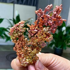 125G Rare iridescent Native Copper crystal mineral specimen natural picture