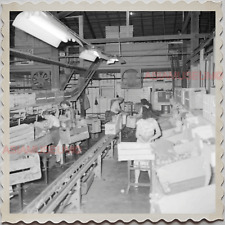 50s FROSTPROOF FLORIDA FOLK COUNTY FRUITS FACTORY VINTAGE USA AMERICA Photo 7957 picture