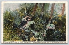 An Under Water Picture Silver Springs FL Florida Postcard 1926 Fairyland Ocala picture