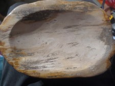 Large 11 lb Petrified Wood Bowl - Polished Fossil Stone Catchall Dish Heavy... picture