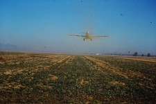 c1960's 35mm Slide Crop Duster Airplane Agricultural Field Building Road Rural picture