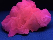 KB: FANTASTIC SW FL. RED MANGANOAN CALCITE CRYSTALS ON MATRIX FROM BULGARIA picture