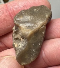53.65 Ct Natural Star Sapphire Rough Old Pressley Mine Canton NC 10.73g Raw picture