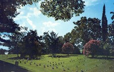 Vicksburg Nat Cemetery Vicksburg Nat Military Park MS Vintage Chrome Post Card picture