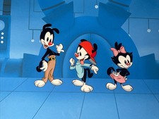 ANAMANIACS Animation Cel Vintage 90’s Cartoons EARLY MODEL CEL Looney Tunes I1 picture