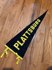 c1920s-1930s Plattsburg NJ 24” Felt Pennant Bloom Brothers BEAUTIFUL picture