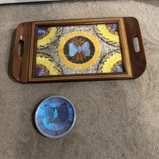VINTAGE BUTTERFLY SERVING TRAY MCM WOOD INLAID IRIDESCENT MID CENTURY picture