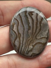 Coolest Blue Biggs I Have Ever Seen- Jasper Cabochon 41 X 33 mm picture