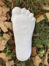 Bigfoot Patterson 