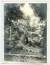 Vernacular Poetry : BICYCLE IN THE FORREST, vintage found photo Vélo 1910's  picture