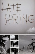 Late Spring 1949 Poster Print Wall Art Movie Decor picture
