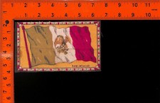 Tabacco Silk Mexico Flag National Emblem Printed Patriotic Paper Collectible picture