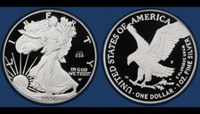Team USA Privy Silver Eagle Heads Commemorative Coin picture