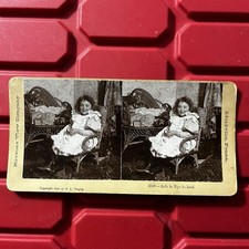 Safe Bye Lo Land Stereoview Keystone View Company Meadville Penna Antique 1896 picture