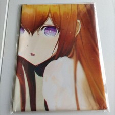 Steins;Gate Reboot Gamers Bonus Original B2 Cloth Poster picture