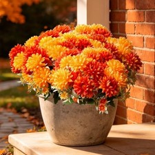Artificial Fall Flowers Mums Plants for Outdoor, UV Resistant Faux Marigold 6 picture