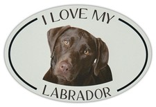 Oval Dog Breed Picture Car Magnet - I Love My Labrador (Chocolate Lab) picture