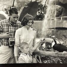 FA Photograph Couple Daughter Girl Feeding Tucan Zoo picture