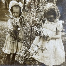 Children Picking Flowers Stereoview Keystone View Co. 1903 B.L. Singley picture