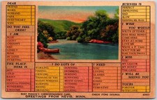 1945 Greetings From Nevis Minnesota Busy Persons Correspondence Card Postcard picture