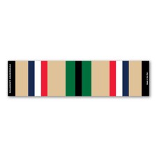 Desert Storm Service Mini Ribbon Bar Magnet picture