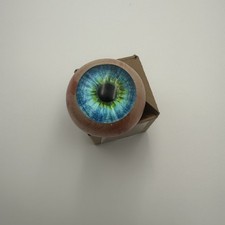 Artificial Eyeball Blue Glass Eye Oddity Display 2 Inch picture