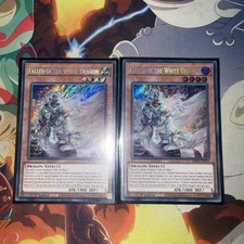 Fallen of the White Dragon | BPRO-EN024 | Secret RARE Yu-Gi-Oh X2 picture