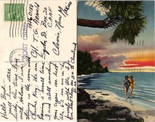 Vintage Carefree Florida Postcard Mailed St Petersburg FL Curt Teich 1c Stamp picture