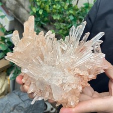 3lb Natural Clear PINK White Quartz Crystal Cluster Rough Healing Specimen picture