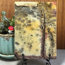 392g Natural Chinese painting stone crystal ornaments for home decoration A6426 picture