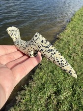 Rare Native American Speckled Drilled Birdstone Beautiful  picture