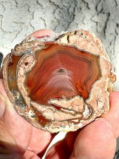 Red White & Black Banded Baker Ranch Thunderegg - Polished - New Mexico picture