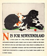 Vintage Newfoundland Print ABC Letter N Alphabet Print Newfoundland Art 5056L picture