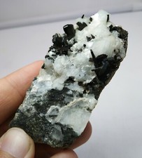 Rare Allanite-(Ce) with garnet and Albite on matrix, combo picture