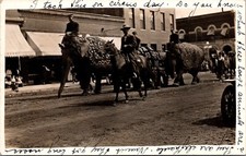 Sac City Iowa Circus Day Parade Elephants Main Street 1911 RPPC Postcard   16450 picture