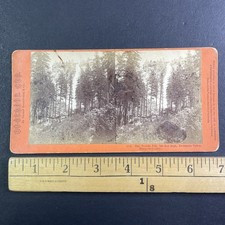 Nevada Fall Yosemite Stereoview Thomas Houseworth & Co. 1860s California picture