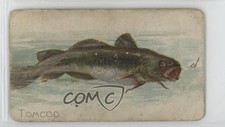 1910 ATC Fish Series Sweet Caporal Factory 25 2nd Dist VA Back 1-50 Tomcod 06ws picture