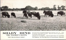 Shady Bend The Tourist's Haven 1936 Grand Island NE Vintage Postcard TPR19 picture