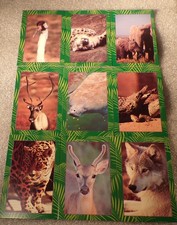 ENDANGERED SPECIES 1992 Tuff Stuff Magazine Promo Card Set of 9 picture