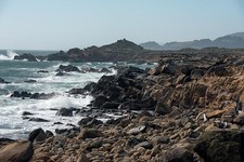 Photo:Scenic views of the Pacific Coast in Northern California picture