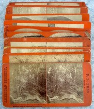 Mixed Lot of 18 Stereoviews, 1880s/1910s, All USA, No Lithographs, Lot2 picture