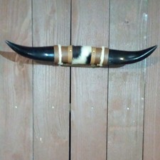 Mounted Longhorn Steer Horns Western Americana Wall Decor Wood Mount picture